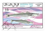 Stamps : Africa : Morocco :  peces