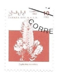 Stamps : Africa : Morocco :  flores