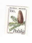 Stamps Poland -  Abies Alba