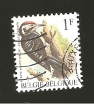 Stamps Belgium -  FAUNA