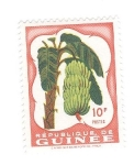 Sellos de Africa - Guinea -  Bananero