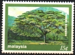 Sellos de Asia - Malasia -  ÁRBOL  DE  LLUVIA