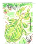 Stamps : Asia : Malaysia :  INSECTOS.  PHILLIUM  PULCHRIFOLIUM