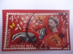 Stamps United Kingdom -  Semana Nacional de la Naturaleza- National Nature Week - Tejón Europeo - Roe Deer (caprelus)