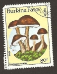 Stamps Burkina Faso -  747
