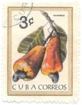 Stamps : America : Cuba :  frutas