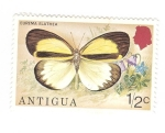 Sellos del Mundo : America : Antigua_y_Barbuda : Mariposa. Eurema Elathea