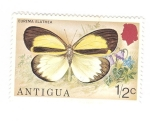 Stamps Antigua and Barbuda -  Mariposa. Eurema Elathea