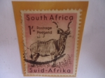 Stamps : Africa : South_Africa :  Gran Kudu (Tragelaphus Strepsiceros)-Fauna Sudafricana, Serie del Parque Kruger - Greater Kudu.