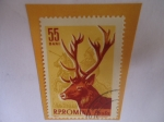 Stamps Romania -  Salvar al Sirvo (Cervus elaphus) - Serie: Animales del Bosque.