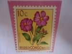 Stamps Belgium -  Congo Belga - DISSOTIS - Serie: Flores.