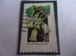 Stamps United States -  Flores Silvestres. El Sello de Salomón.