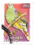 Stamps South Africa -  aves