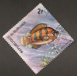 Stamps Burundi -  450C