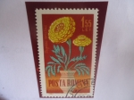 Stamps Romania -  French Marigold - Tagetes erectus - 