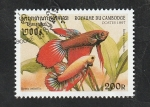 Stamps Cambodia -  1468 - Pez tropical  