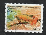 Stamps Cambodia -  1469 - Pez tropical