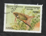 Stamps Cambodia -  1471 - Pez tropical