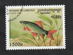 Stamps Cambodia -  1472 - Pez tropical