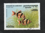 Stamps Cambodia -  1473 - Pez tropical