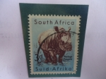 Stamps South Africa -  Rinoceronte Blanco (ceratotherium simun) 