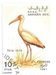 Stamps : Africa : Morocco :  aves