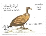 Stamps Morocco -  aves