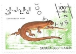 Stamps Morocco -  reptiles
