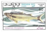 Stamps : Africa : Morocco :  peces