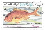 Stamps : Africa : Morocco :  peces