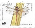 Stamps : Africa : Morocco :  insectos
