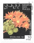 Stamps Morocco -  cactus