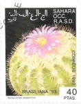 Stamps Morocco -  cactus