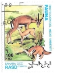 Stamps : Africa : Morocco :  medio ambiente