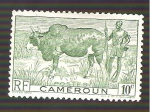 Stamps Cameroon -  304