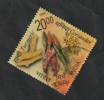 Stamps India -  2133 - Especies de la India, Cúrcuma, cilantro y pimientos