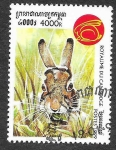 Stamps Cambodia -  1795 - Conejo Común