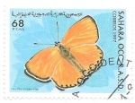 Stamps : Africa : Morocco :  mariposas