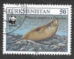 Stamps : Asia : Turkmenistan :  36 - Foca del Caspio