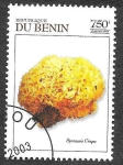 Stamps Benin -  (C) - Seta