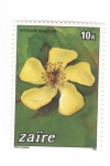 Stamps Democratic Republic of the Congo -  Hypericum revolutum