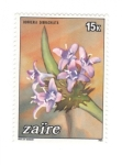 Stamps Democratic Republic of the Congo -  Borreria dibracriata