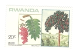 Sellos de Africa - Rwanda -  Hagenia abyssinica