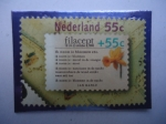 Stamps Netherlands -  Jan Hanlo (1912-1969)-Narciso 