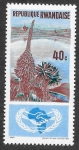 Sellos de Africa - Rwanda -  127 - Cooperación Internacional (ICY)
