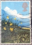 Stamps United Kingdom -  Scott#856 intercambio 0,25 usd, 10,5 p. 1979