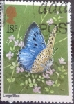 Stamps : Europe : United_Kingdom :  Scott#942 dmg intercambio 0,45 usd, 18 p. 1981