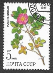 Stamps Russia -  5381 - Plantas Medicinales de Siberia