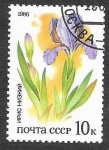 Stamps Russia -  5426 - Flora de las Estepas Rusas