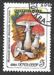 Stamps Russia -  5455 - Seta Venenosa